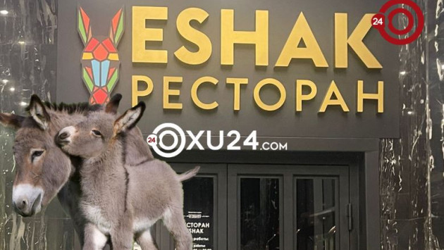 <p><b>“Eşşək” restoranı...<font color="#ff0000">(VİDEO)</font></b></p>